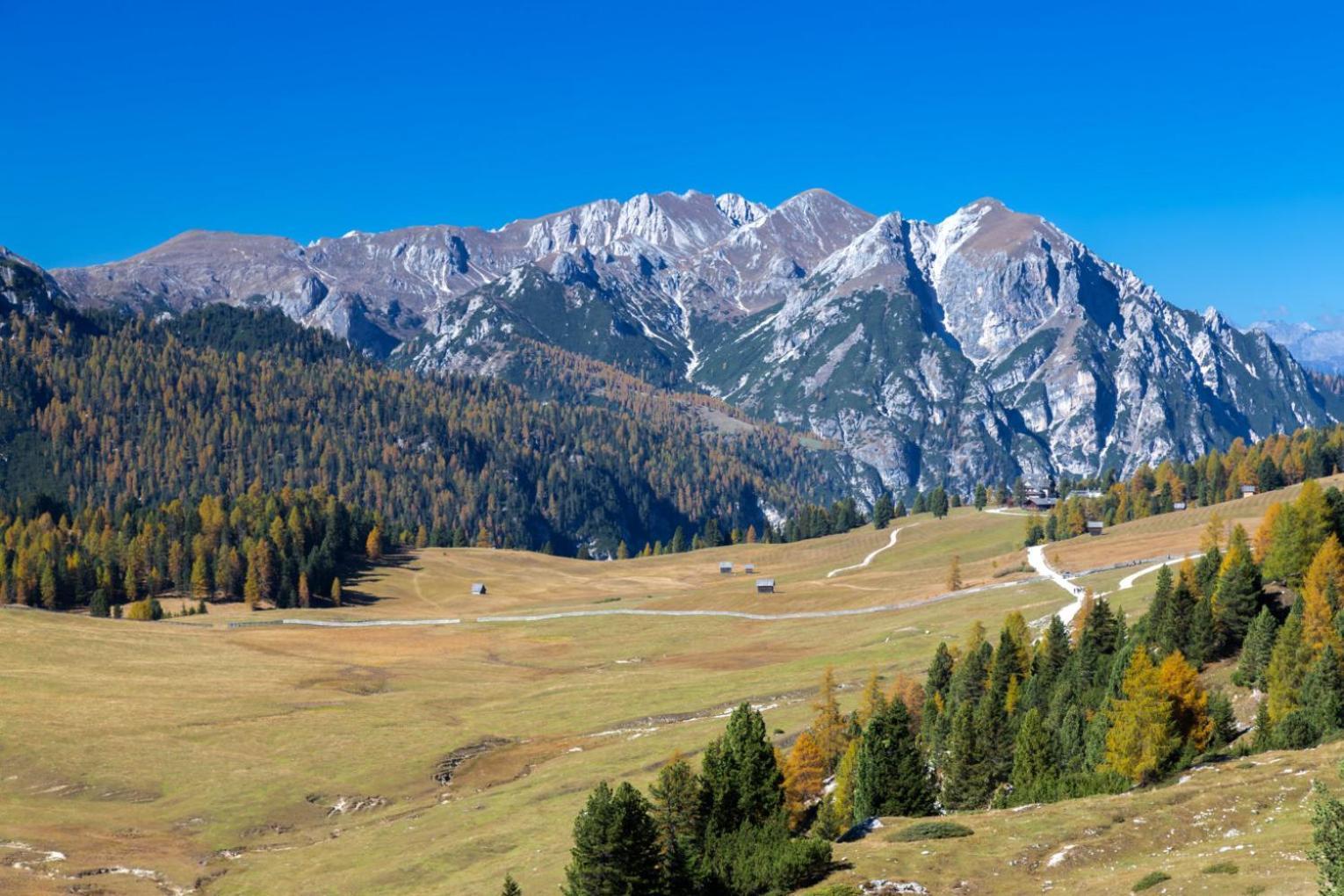 Apartments Stoll Planca di Sopra Экстерьер фото